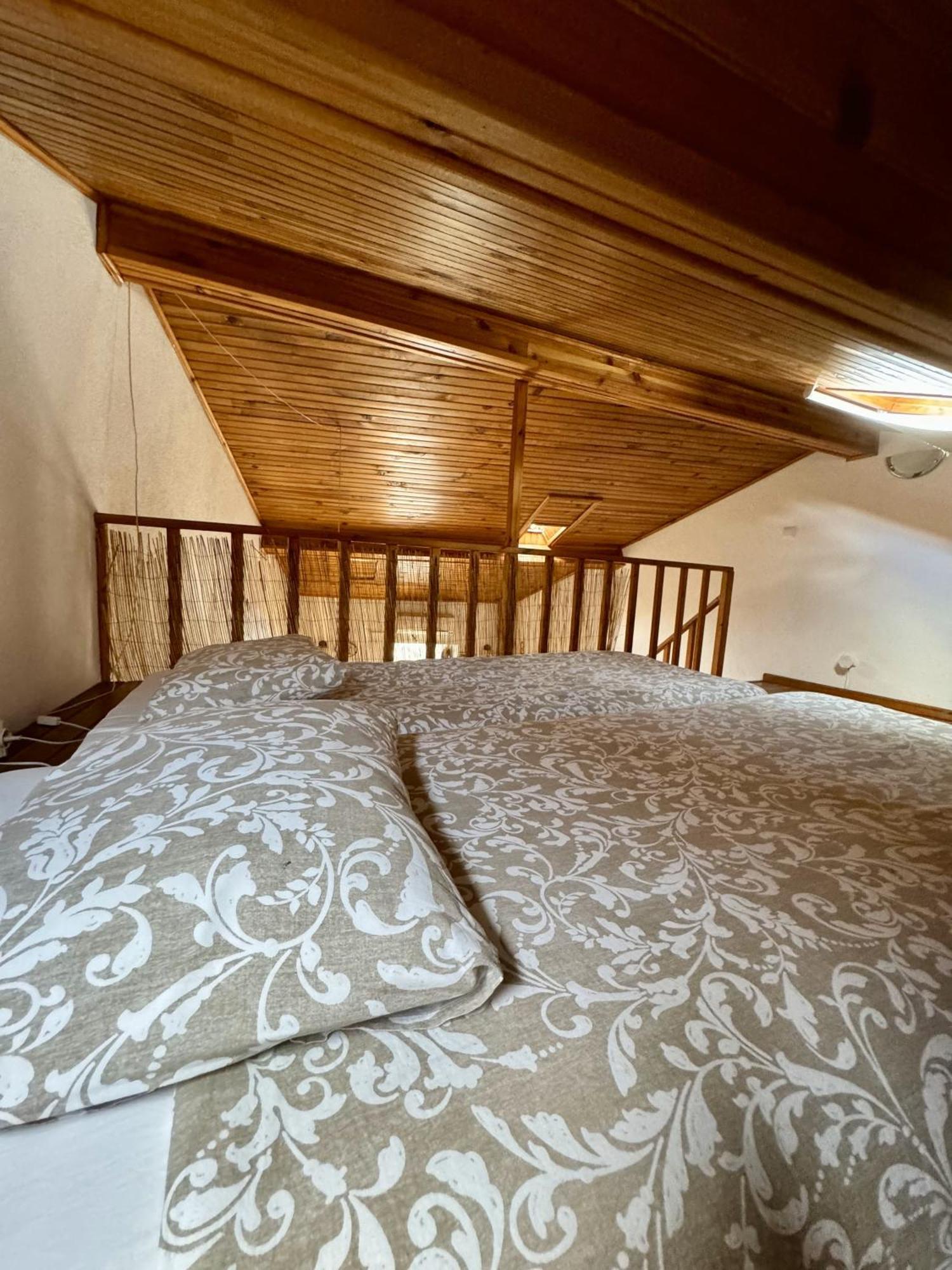 São Miguel de Acha Casa Sao Sebastiao Casas Bem Hajaゲストハウス エクステリア 写真