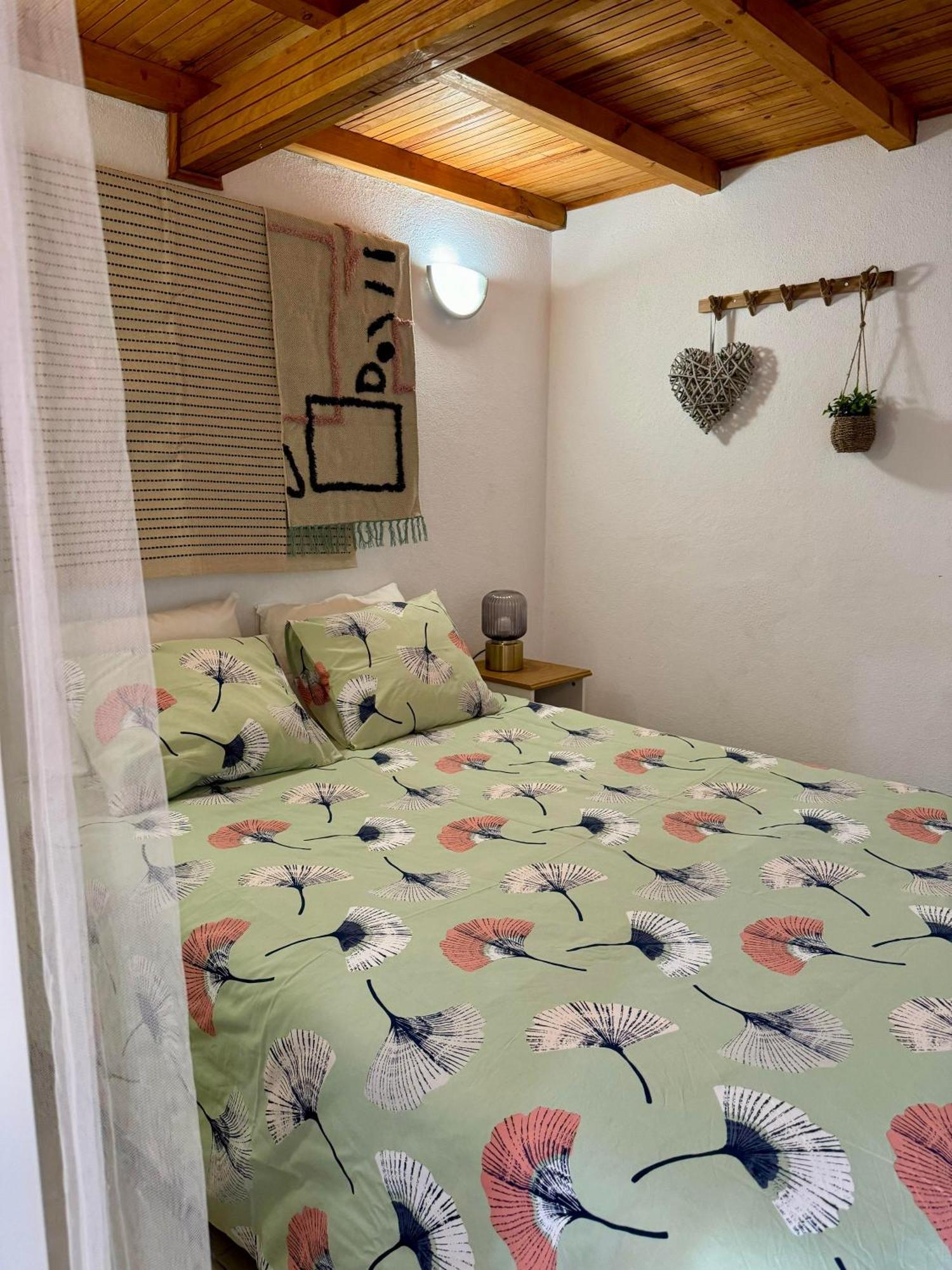 São Miguel de Acha Casa Sao Sebastiao Casas Bem Hajaゲストハウス エクステリア 写真